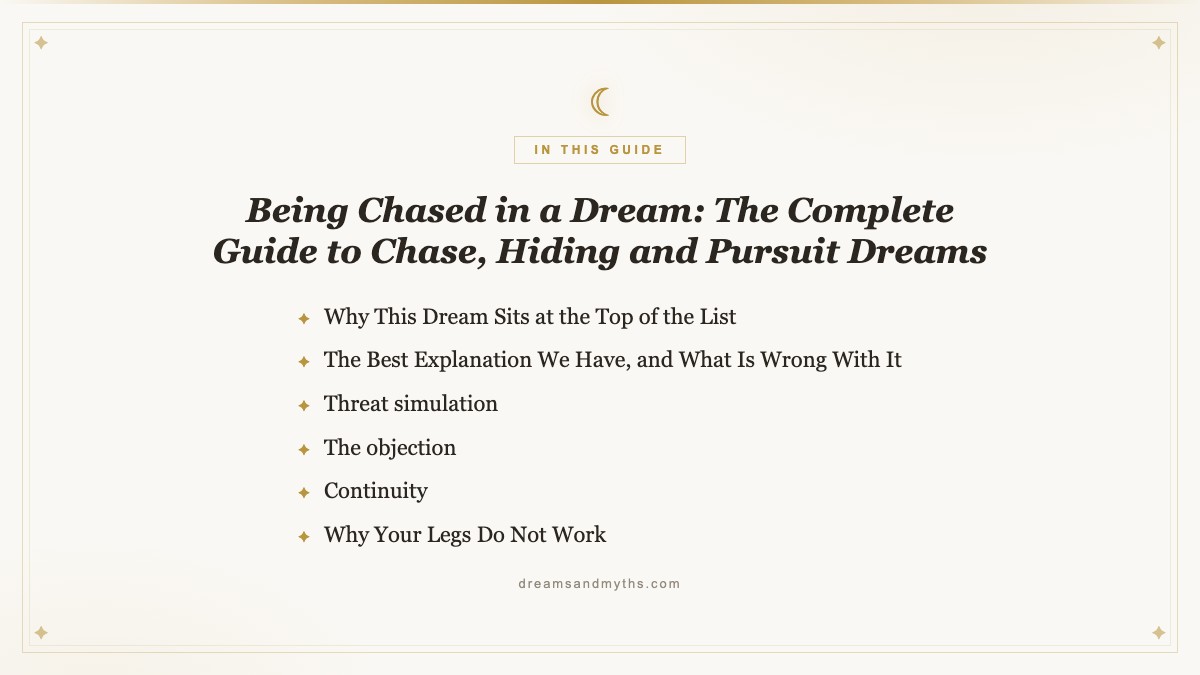 At a glance summary card for chase dreams