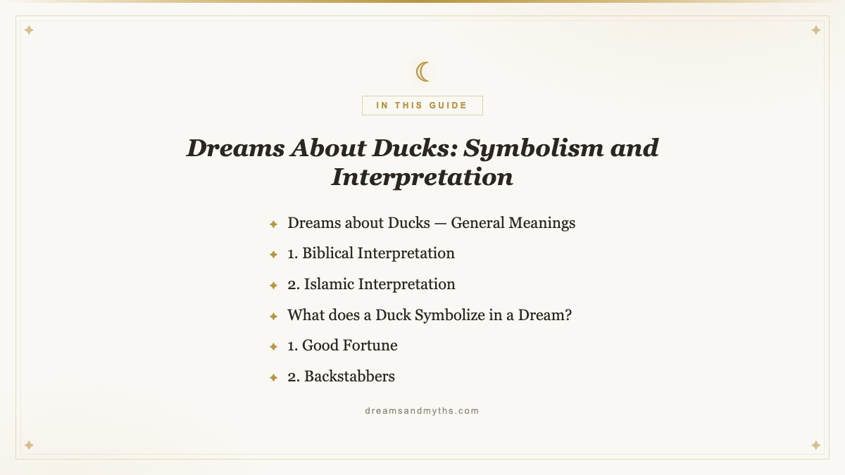 At a glance — Dreams About Ducks: Symbolism and Interpretation