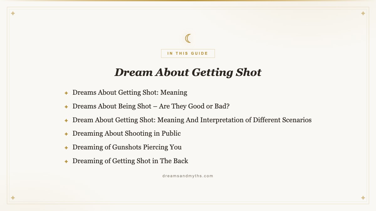 At a glance — Dream About Getting Shot