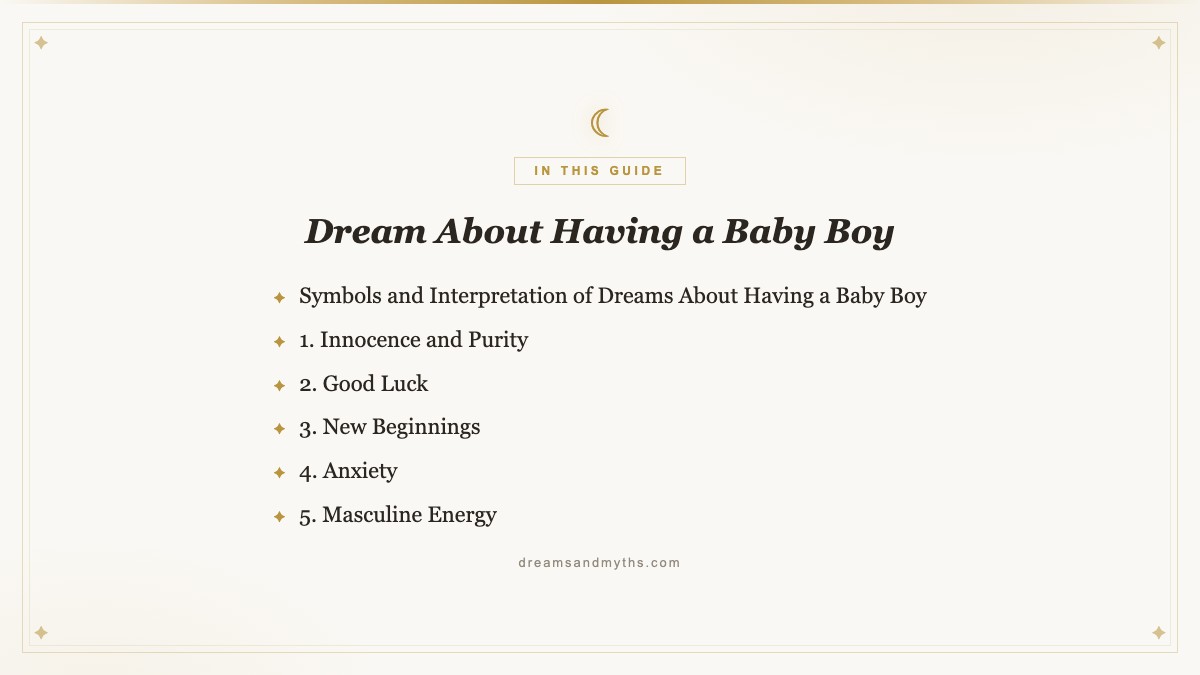 At a glance — Dream About Having a Baby Boy