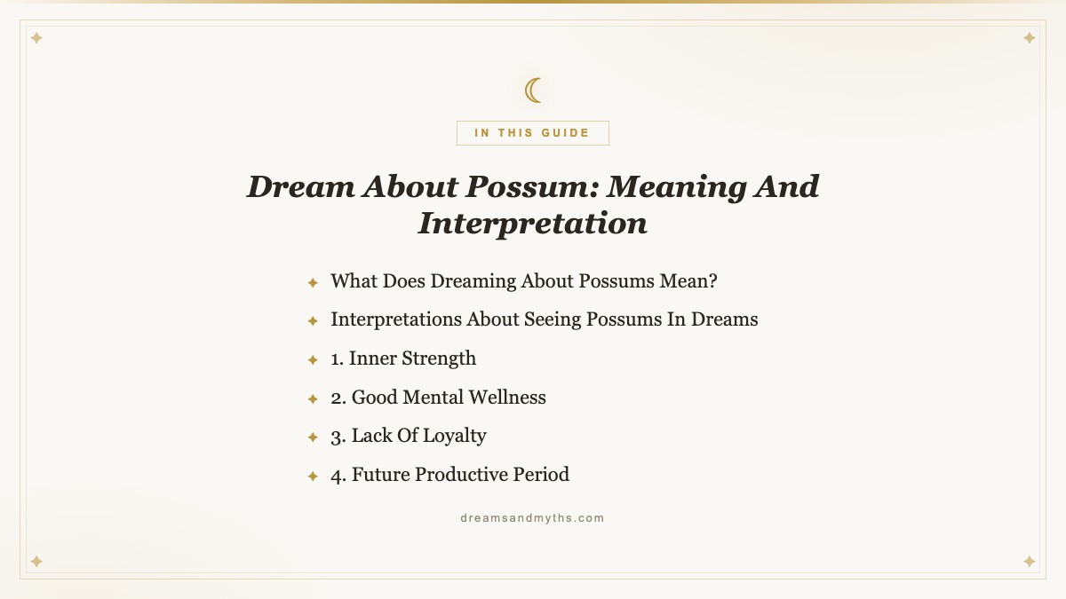 At a glance — Dream About Possum: Meaning And Interpretation