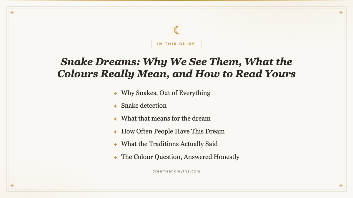 At a glance summary card for snake dreams
