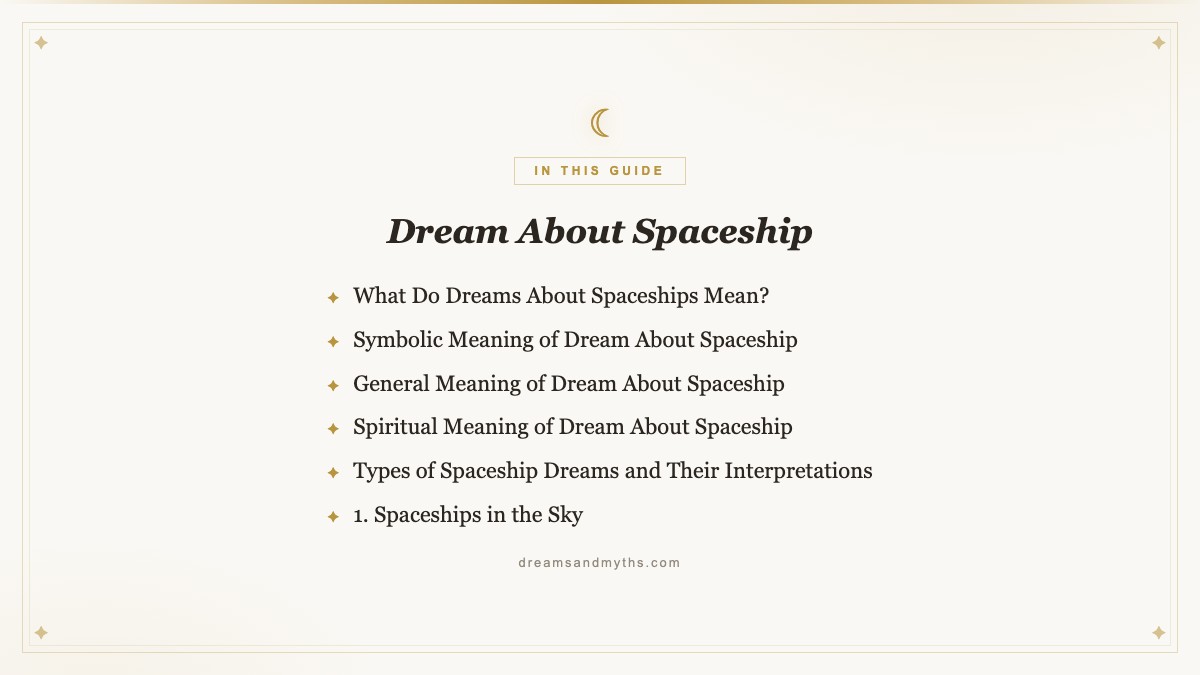 At a glance — Dream About Spaceship