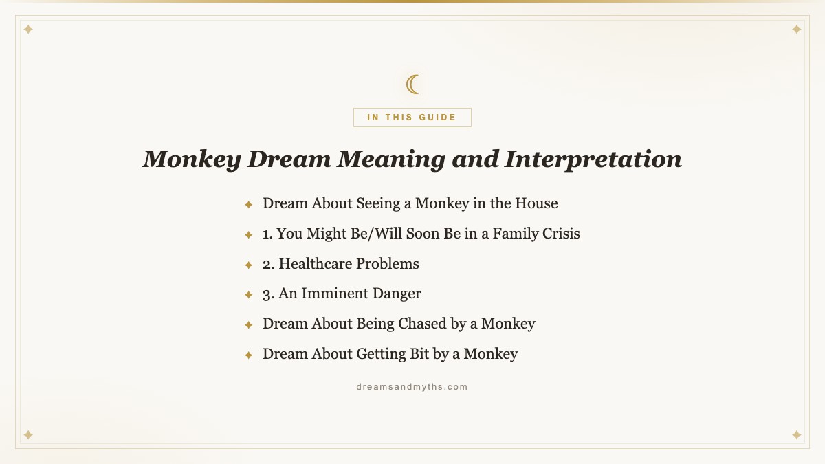 At a glance — Monkey Dream Meaning and Interpretation