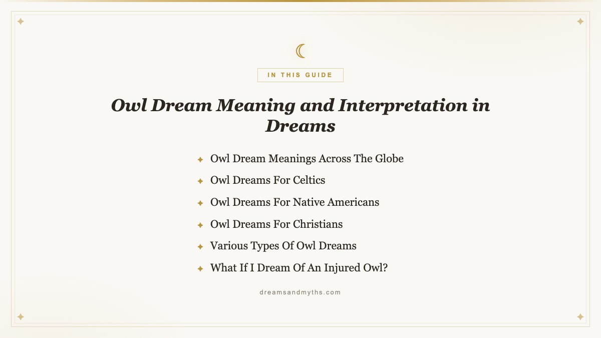 At a glance — Owl Dream Meaning and Interpretation in Dreams