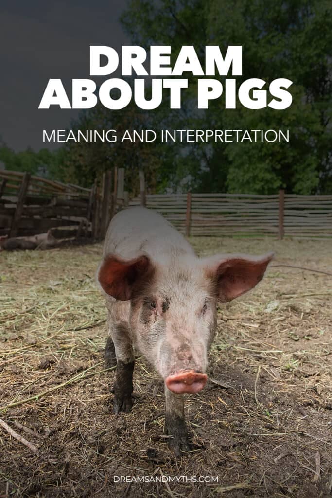 pigs dream meaning 